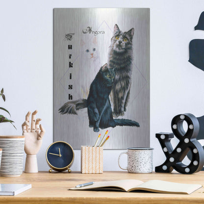 Luxe Metal Art 'Turkish Angora' by Barbara Keith, Metal Wall Art,12x16