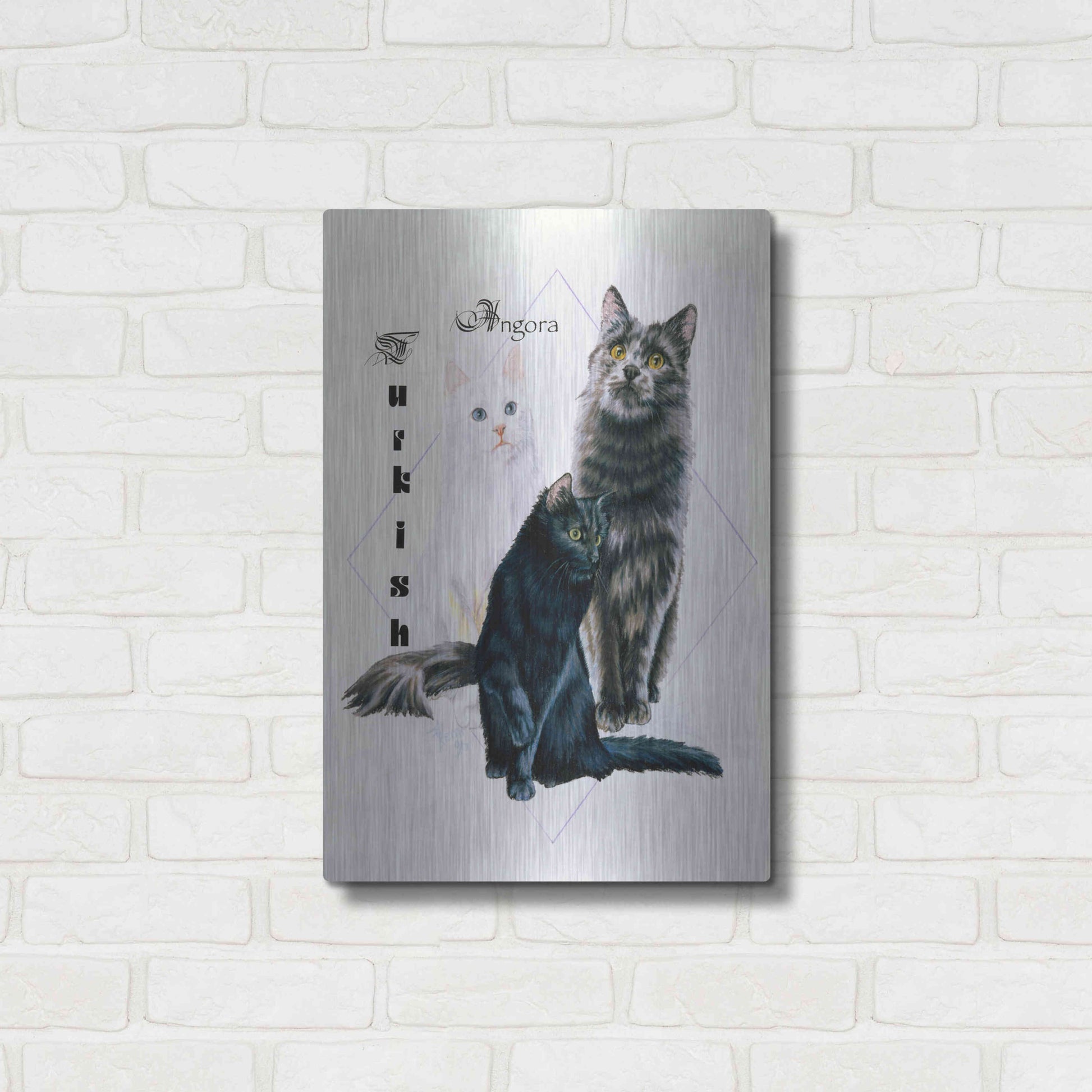 Luxe Metal Art 'Turkish Angora' by Barbara Keith, Metal Wall Art,16x24