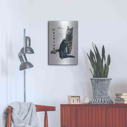 Luxe Metal Art 'Turkish Angora' by Barbara Keith, Metal Wall Art,16x24