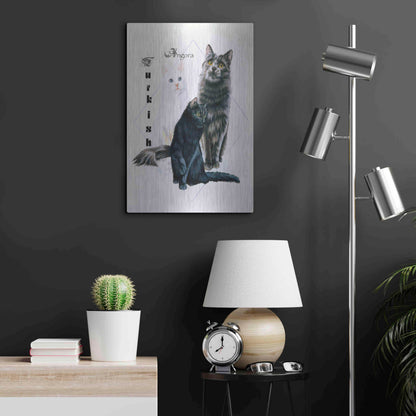 Luxe Metal Art 'Turkish Angora' by Barbara Keith, Metal Wall Art,16x24