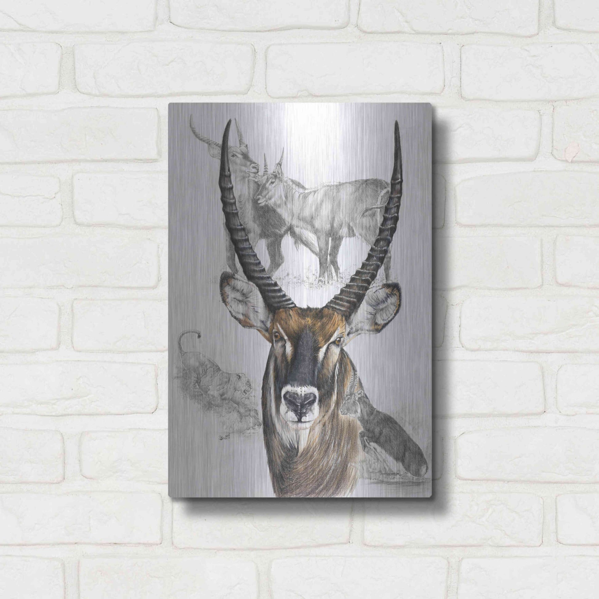 Luxe Metal Art 'Waterbuck' by Barbara Keith, Metal Wall Art,12x16