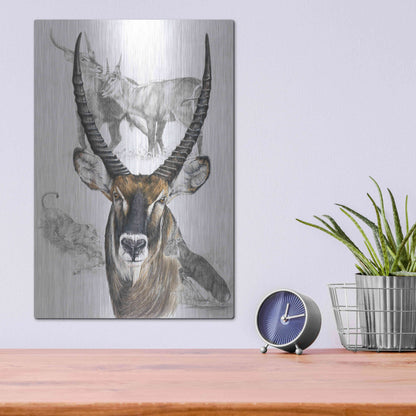 Luxe Metal Art 'Waterbuck' by Barbara Keith, Metal Wall Art,12x16
