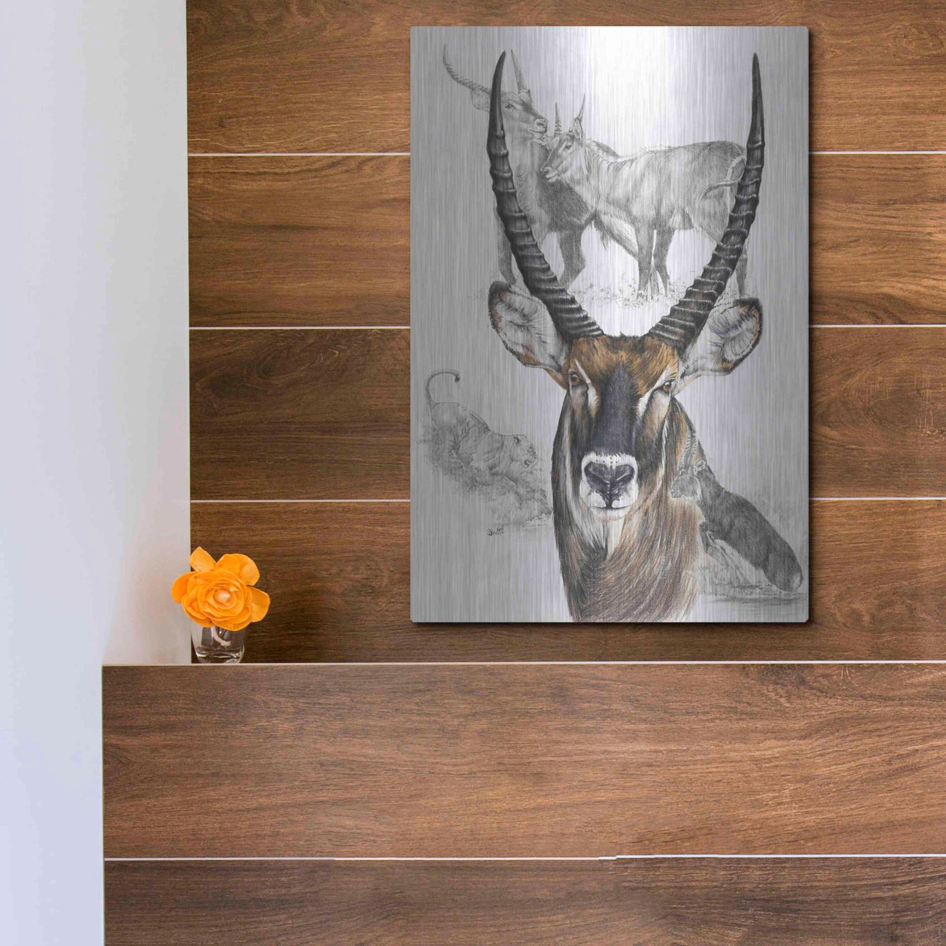 Luxe Metal Art 'Waterbuck' by Barbara Keith, Metal Wall Art,12x16