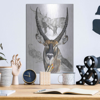 Luxe Metal Art 'Waterbuck' by Barbara Keith, Metal Wall Art,12x16