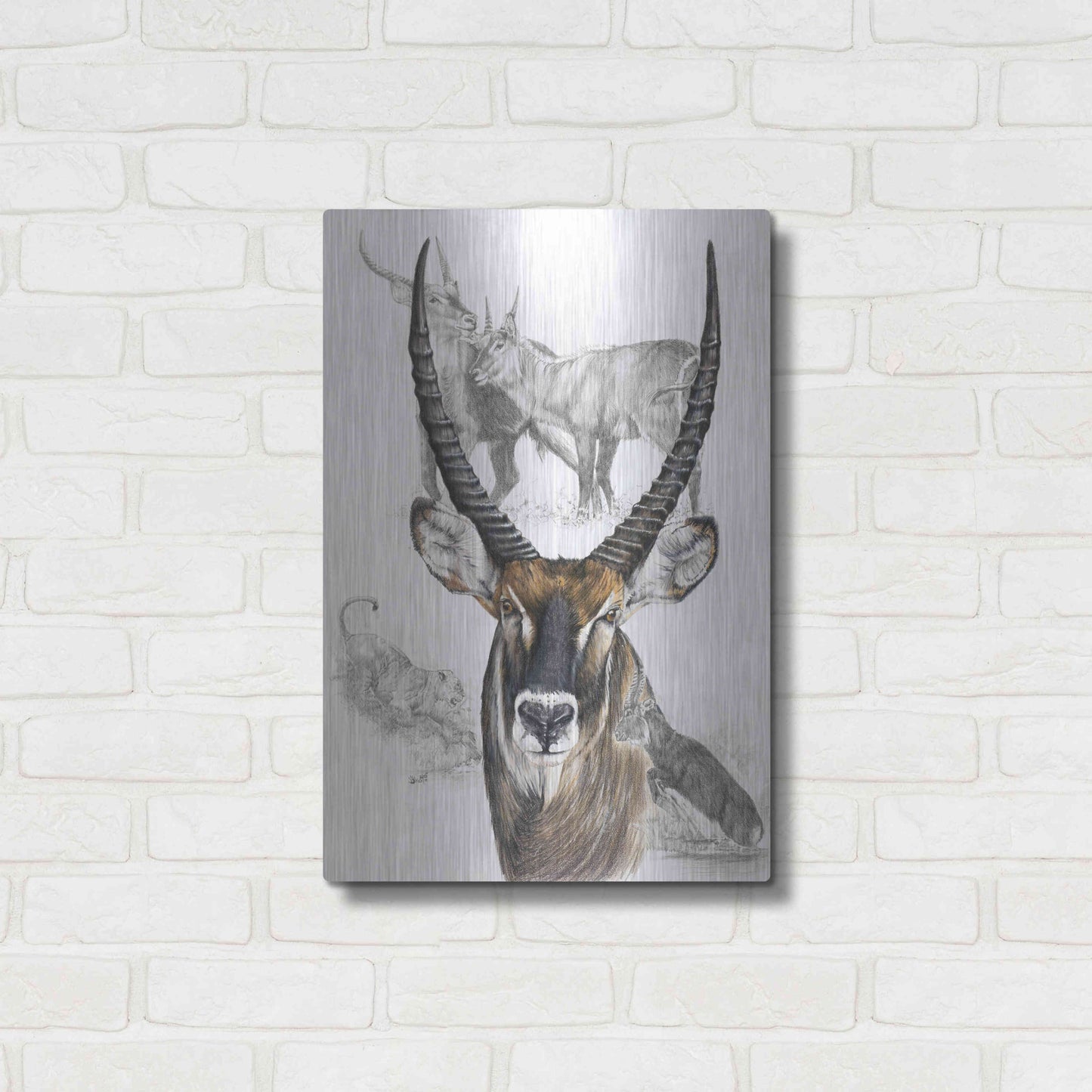 Luxe Metal Art 'Waterbuck' by Barbara Keith, Metal Wall Art,16x24