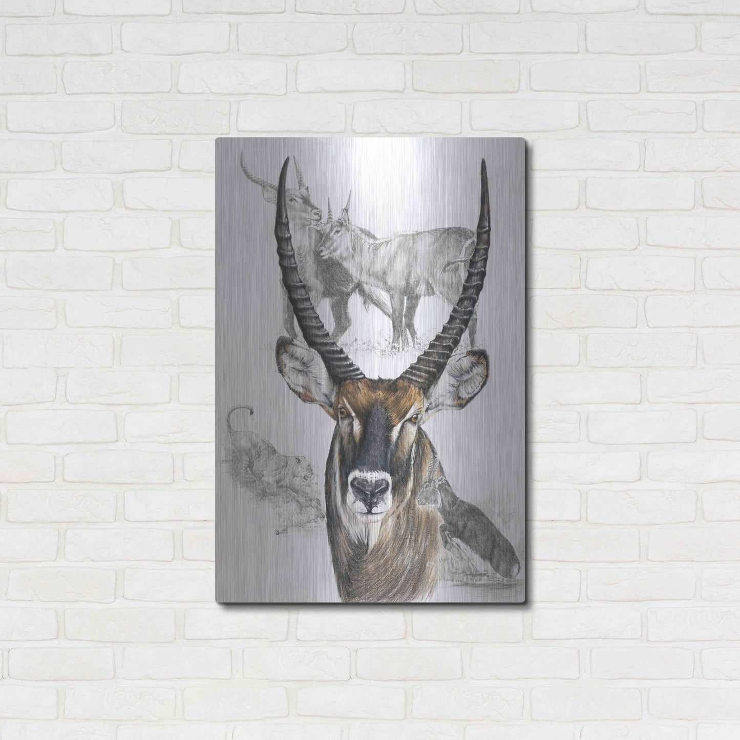 Luxe Metal Art 'Waterbuck' by Barbara Keith, Metal Wall Art,24x36