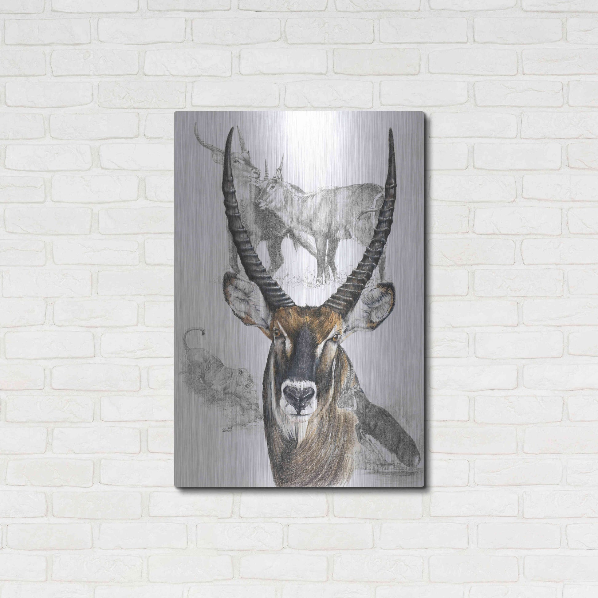 Luxe Metal Art 'Waterbuck' by Barbara Keith, Metal Wall Art,24x36