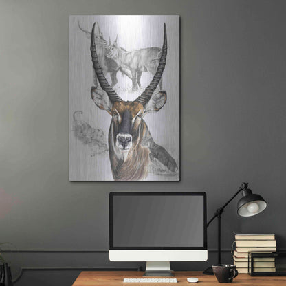 Luxe Metal Art 'Waterbuck' by Barbara Keith, Metal Wall Art,24x36