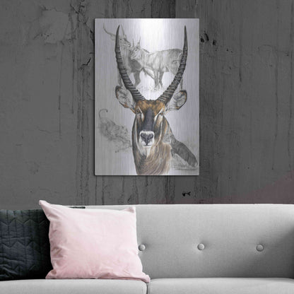 Luxe Metal Art 'Waterbuck' by Barbara Keith, Metal Wall Art,24x36