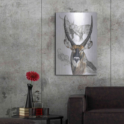 Luxe Metal Art 'Waterbuck' by Barbara Keith, Metal Wall Art,24x36