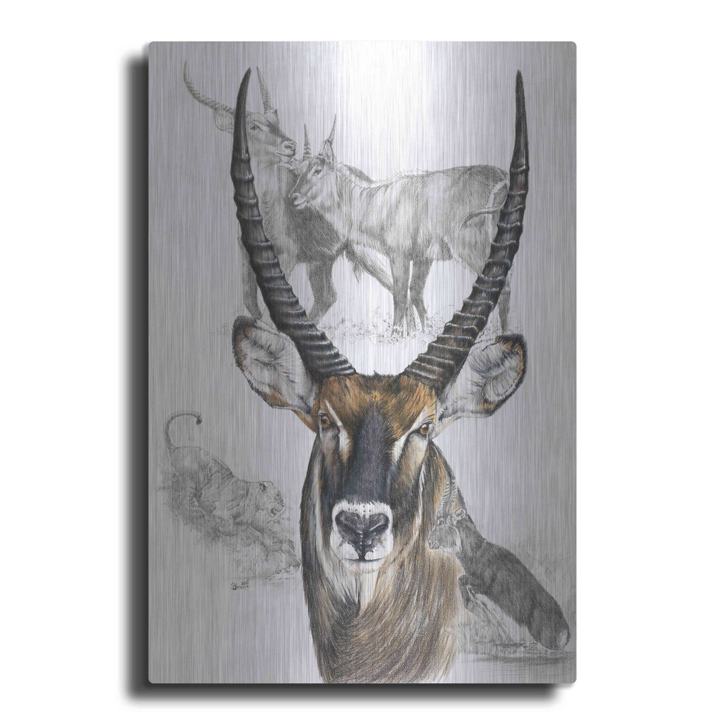 Luxe Metal Art 'Waterbuck' by Barbara Keith, Metal Wall Art