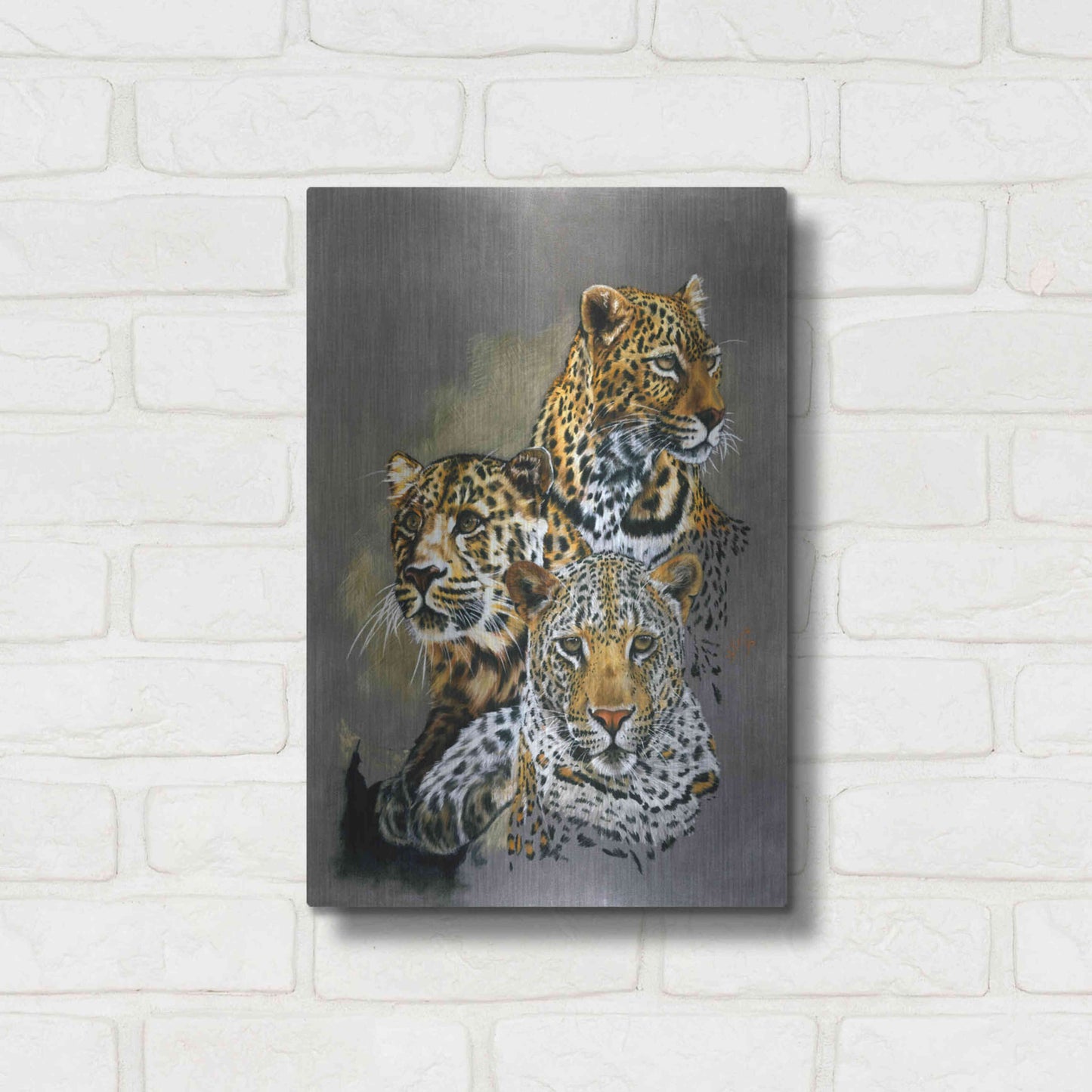 Luxe Metal Art 'Shadow Hunter' by Barbara Keith, Metal Wall Art,12x16