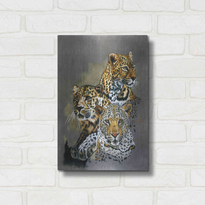 Luxe Metal Art 'Shadow Hunter' by Barbara Keith, Metal Wall Art,12x16