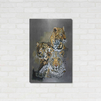 Luxe Metal Art 'Shadow Hunter' by Barbara Keith, Metal Wall Art,24x36