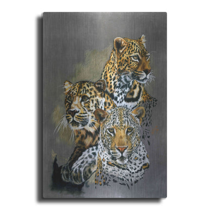 Luxe Metal Art 'Shadow Hunter' by Barbara Keith, Metal Wall Art