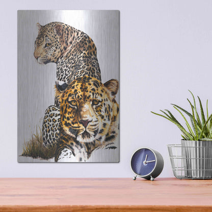 Luxe Metal Art 'Scar Face' by Barbara Keith, Metal Wall Art,12x16