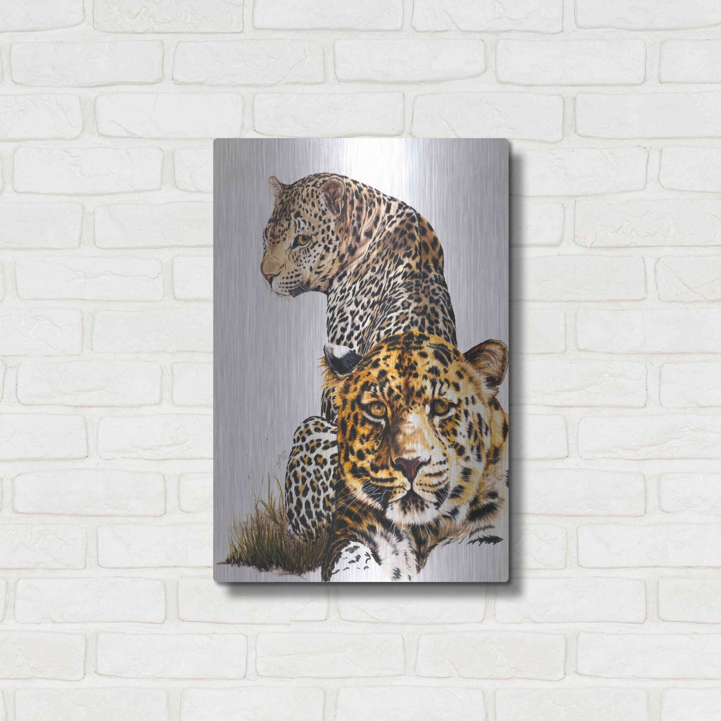 Luxe Metal Art 'Scar Face' by Barbara Keith, Metal Wall Art,16x24