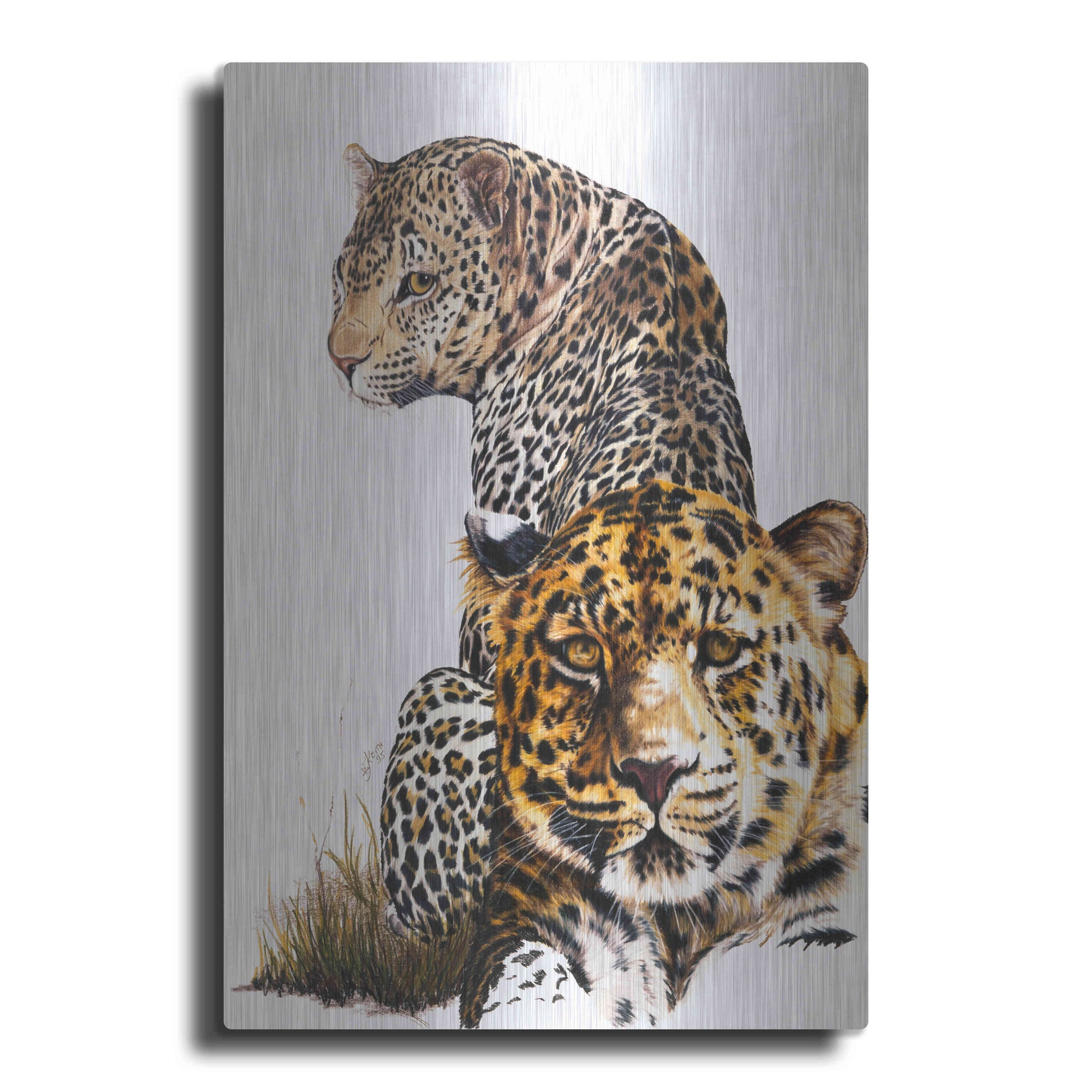 Luxe Metal Art 'Scar Face' by Barbara Keith, Metal Wall Art