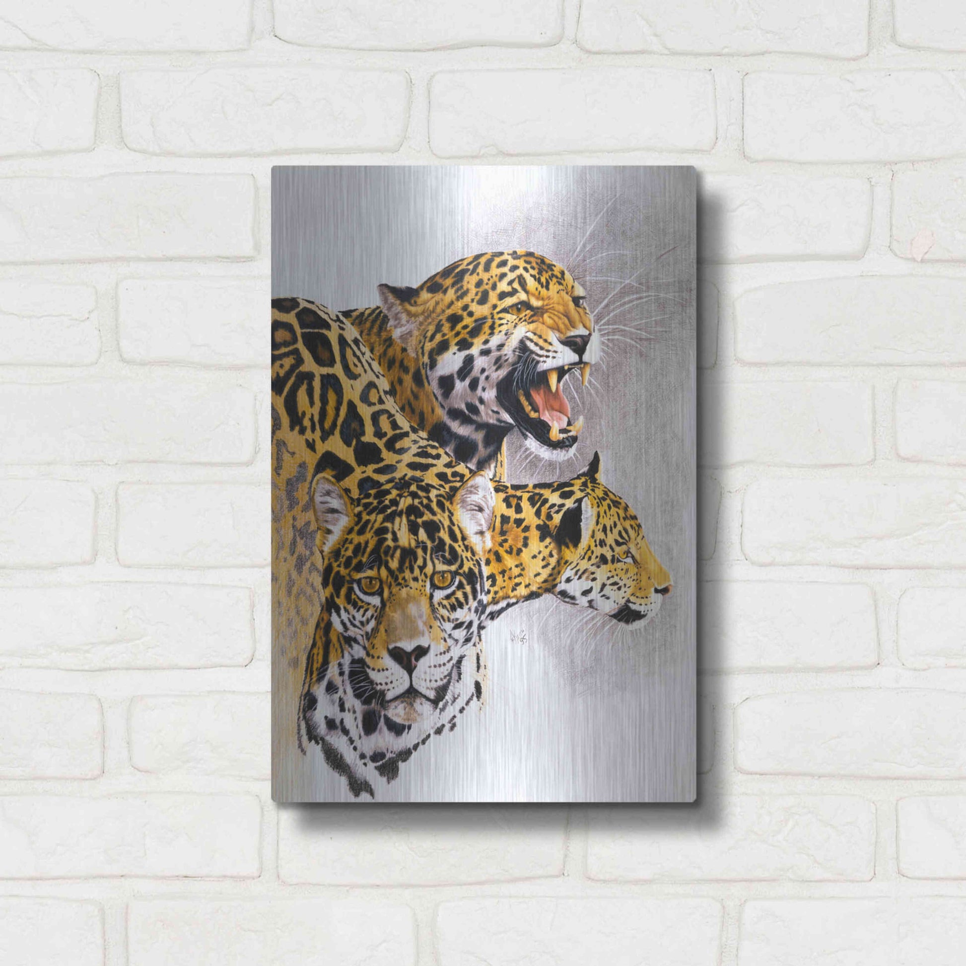 Luxe Metal Art 'Rain Forest Wrath' by Barbara Keith, Metal Wall Art,12x16