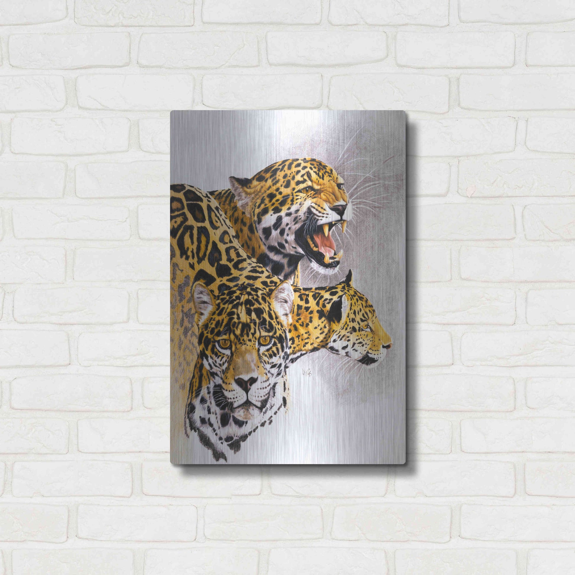 Luxe Metal Art 'Rain Forest Wrath' by Barbara Keith, Metal Wall Art,16x24