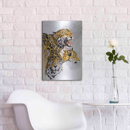 Luxe Metal Art 'Rain Forest Wrath' by Barbara Keith, Metal Wall Art,16x24