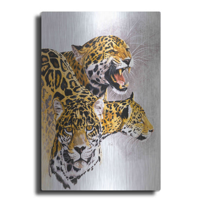 Luxe Metal Art 'Rain Forest Wrath' by Barbara Keith, Metal Wall Art