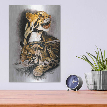 Luxe Metal Art 'Neofelis Nebulosa' by Barbara Keith, Metal Wall Art,12x16