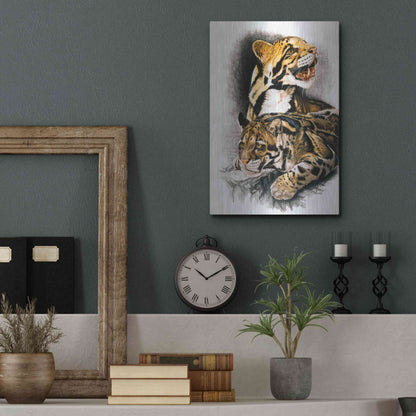 Luxe Metal Art 'Neofelis Nebulosa' by Barbara Keith, Metal Wall Art,12x16