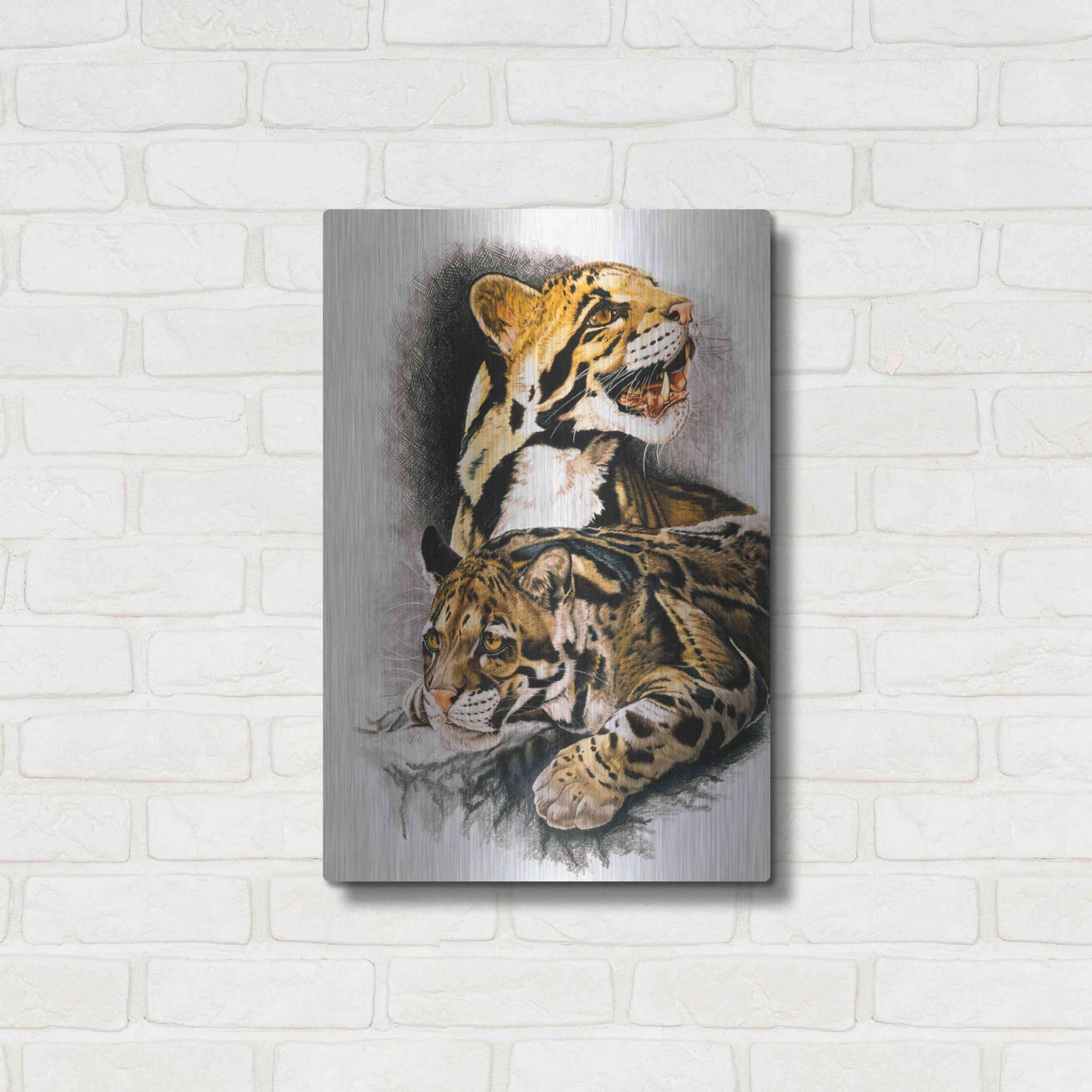 Luxe Metal Art 'Neofelis Nebulosa' by Barbara Keith, Metal Wall Art,16x24