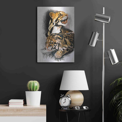 Luxe Metal Art 'Neofelis Nebulosa' by Barbara Keith, Metal Wall Art,16x24