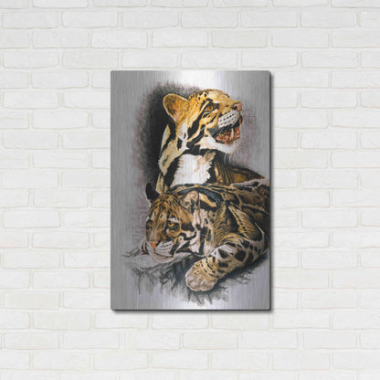 Luxe Metal Art 'Neofelis Nebulosa' by Barbara Keith, Metal Wall Art,24x36