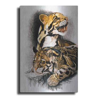 Luxe Metal Art 'Neofelis Nebulosa' by Barbara Keith, Metal Wall Art