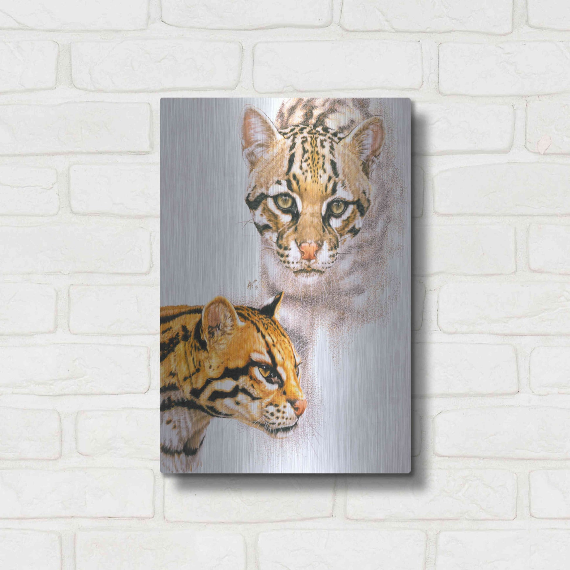 Luxe Metal Art 'Moving Shadows' by Barbara Keith, Metal Wall Art,12x16