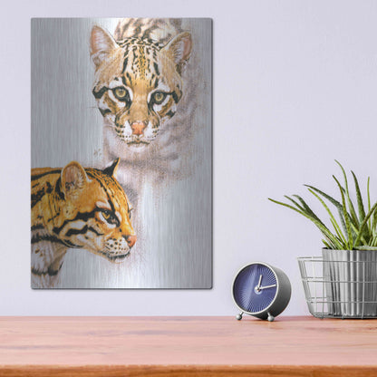 Luxe Metal Art 'Moving Shadows' by Barbara Keith, Metal Wall Art,12x16