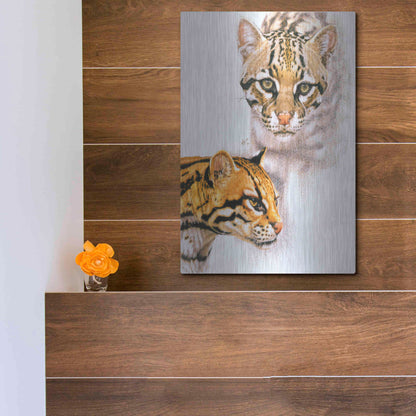 Luxe Metal Art 'Moving Shadows' by Barbara Keith, Metal Wall Art,12x16