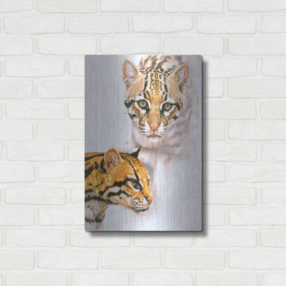 Luxe Metal Art 'Moving Shadows' by Barbara Keith, Metal Wall Art,16x24