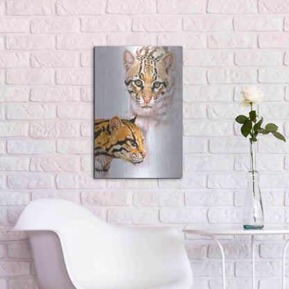 Luxe Metal Art 'Moving Shadows' by Barbara Keith, Metal Wall Art,16x24