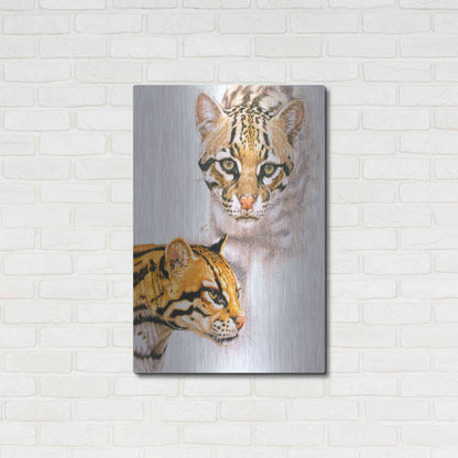 Luxe Metal Art 'Moving Shadows' by Barbara Keith, Metal Wall Art,24x36