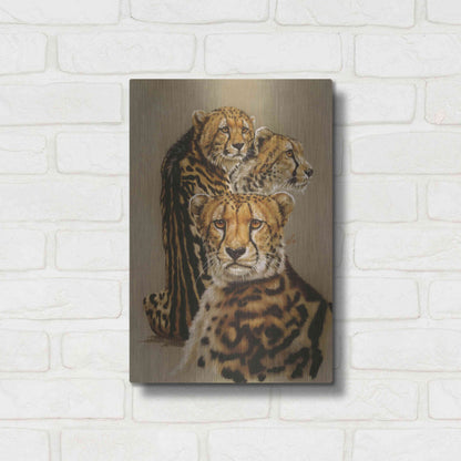 Luxe Metal Art 'Majestic Vagabond' by Barbara Keith, Metal Wall Art,12x16