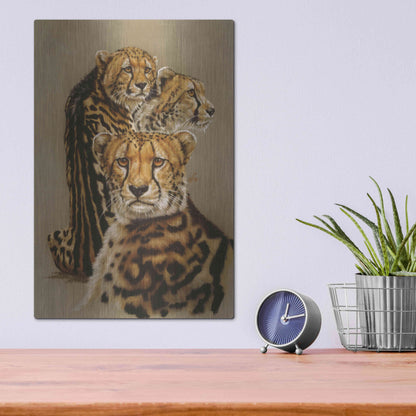 Luxe Metal Art 'Majestic Vagabond' by Barbara Keith, Metal Wall Art,12x16