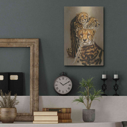 Luxe Metal Art 'Majestic Vagabond' by Barbara Keith, Metal Wall Art,12x16