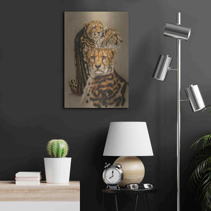 Luxe Metal Art 'Majestic Vagabond' by Barbara Keith, Metal Wall Art,16x24