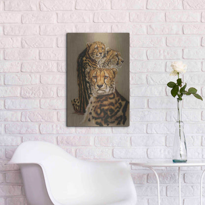 Luxe Metal Art 'Majestic Vagabond' by Barbara Keith, Metal Wall Art,16x24