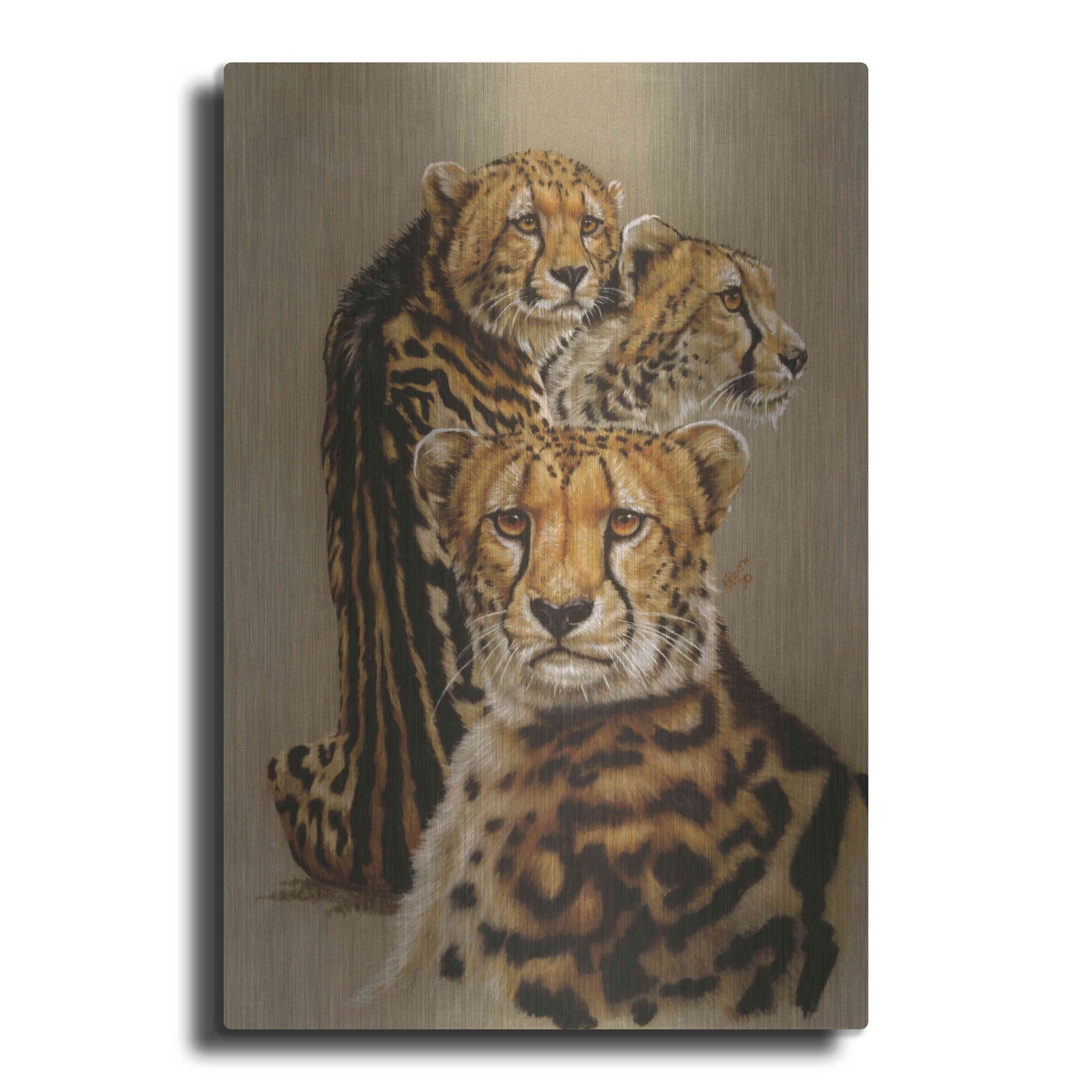 Luxe Metal Art 'Majestic Vagabond' by Barbara Keith, Metal Wall Art