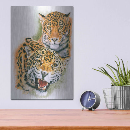 Luxe Metal Art 'Blaze Of Glory' by Barbara Keith, Metal Wall Art,12x16