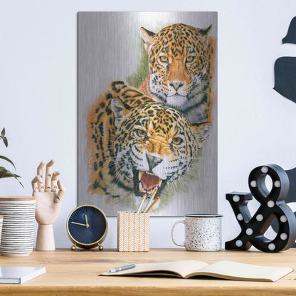 Luxe Metal Art 'Blaze Of Glory' by Barbara Keith, Metal Wall Art,12x16