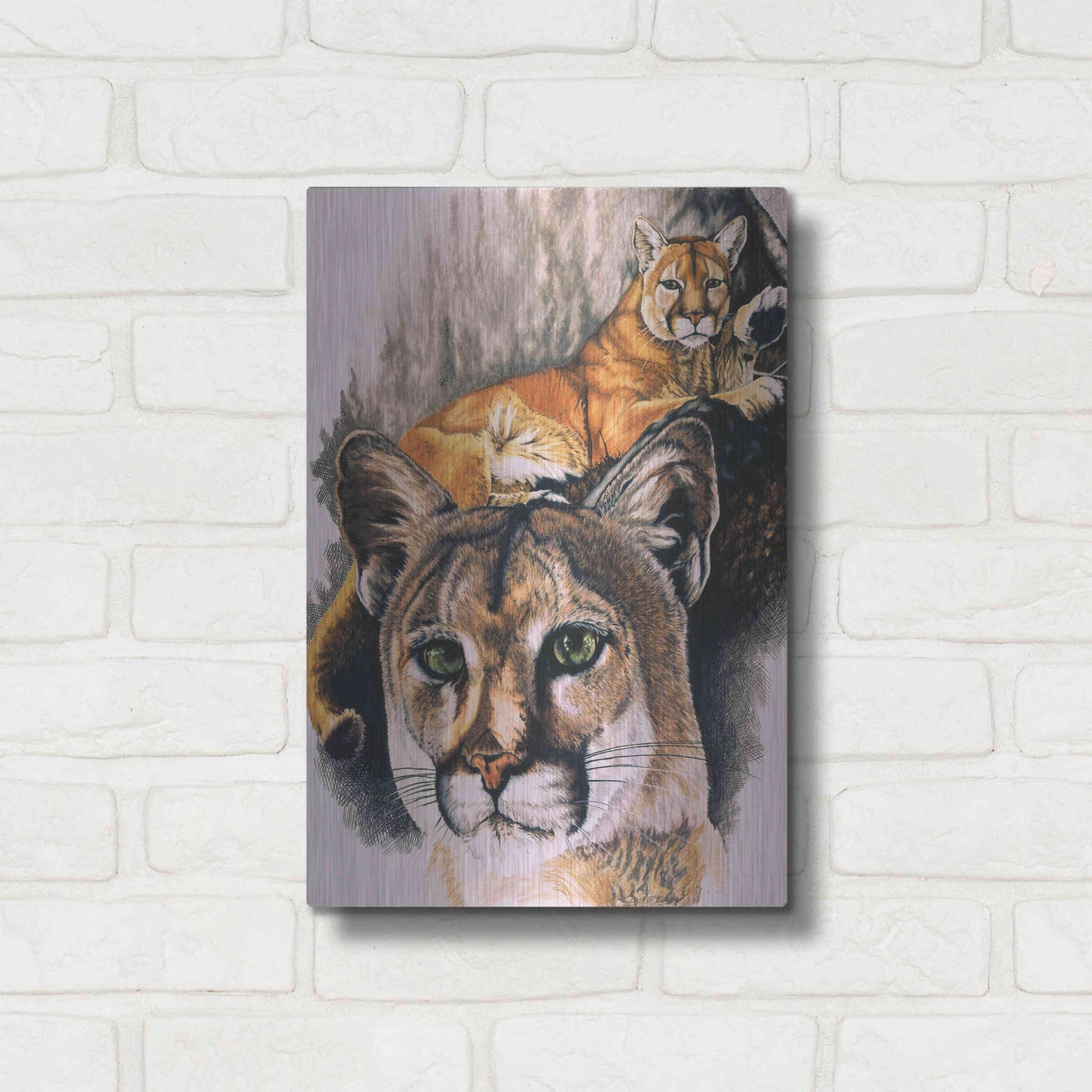 Luxe Metal Art 'Felis Concolor Cory' by Barbara Keith, Metal Wall Art,12x16