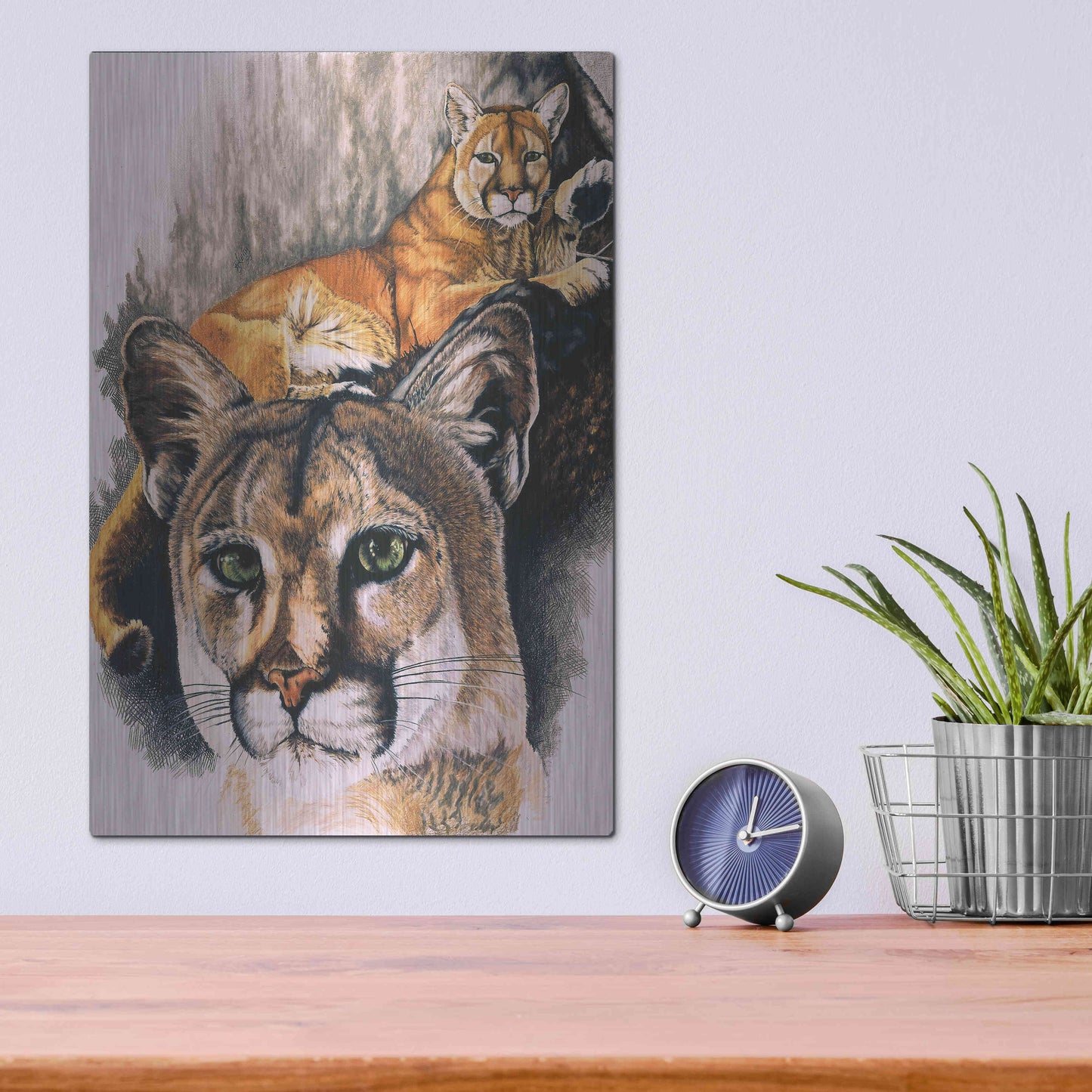 Luxe Metal Art 'Felis Concolor Cory' by Barbara Keith, Metal Wall Art,12x16