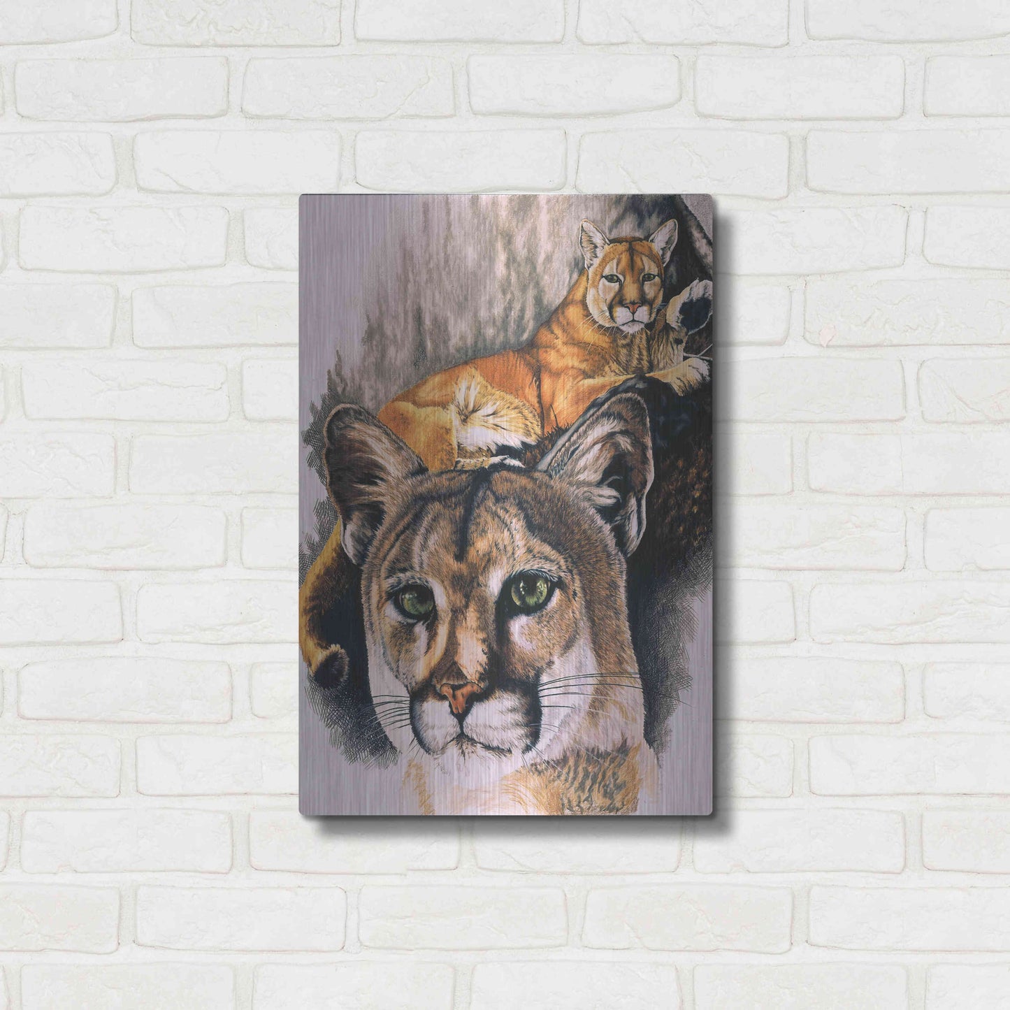 Luxe Metal Art 'Felis Concolor Cory' by Barbara Keith, Metal Wall Art,16x24