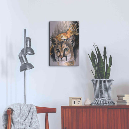 Luxe Metal Art 'Felis Concolor Cory' by Barbara Keith, Metal Wall Art,16x24